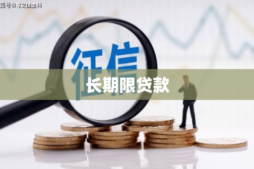 双清长期限贷款