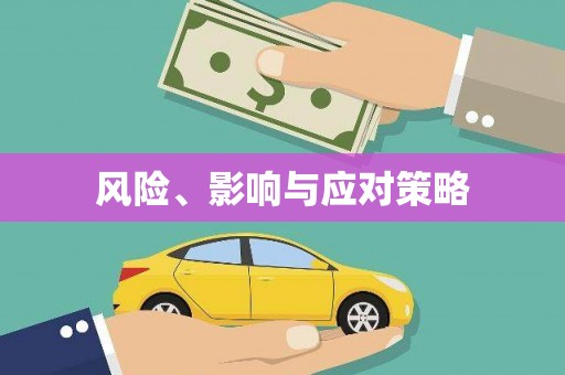 双清风险、影响与应对策略