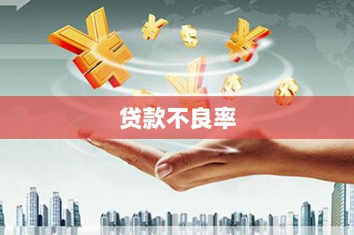 双清贷款不良率