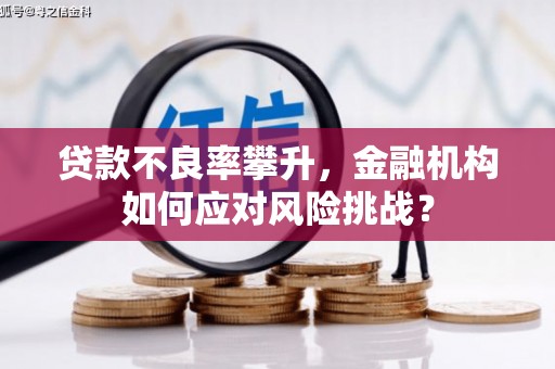 双清贷款不良率攀升，金融机构如何应对风险挑战？