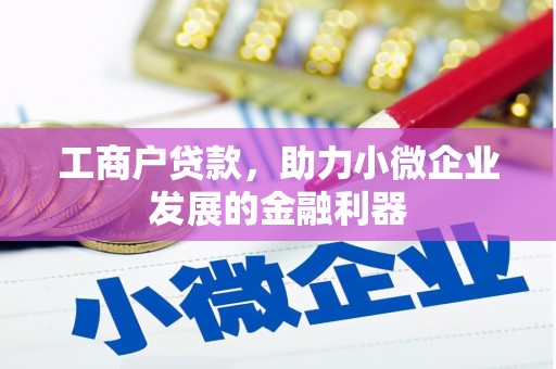 双清工商户贷款，助力小微企业发展的金融利器