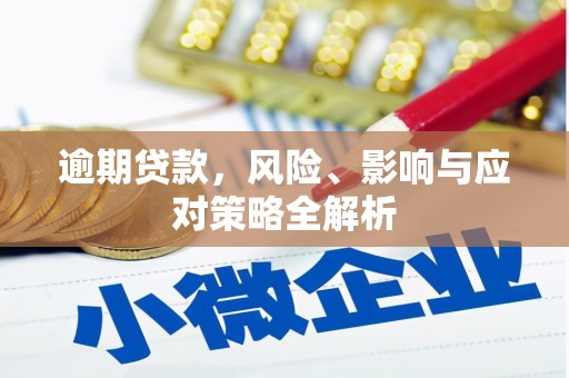 双清逾期贷款，风险、影响与应对策略全解析