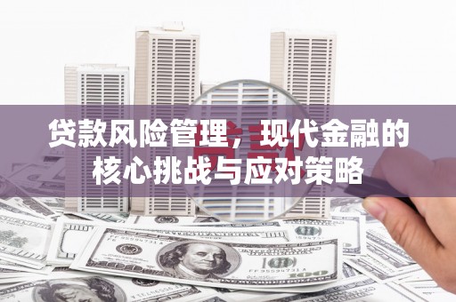 双清贷款风险管理，现代金融的核心挑战与应对策略
