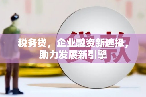 双清税务贷，企业融资新选择，助力发展新引擎