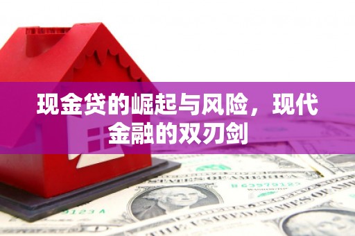 双清现金贷的崛起与风险，现代金融的双刃剑
