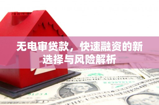 双清无电审贷款，快速融资的新选择与风险解析