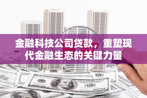 双清金融科技公司贷款，重塑现代金融生态的关键力量