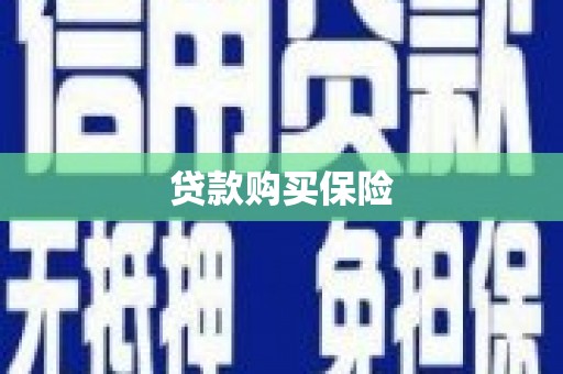 双清贷款购买保险