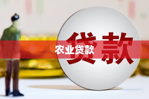 双清农业贷款