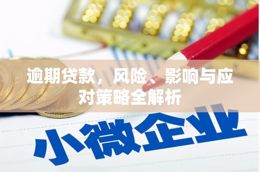 双清逾期贷款，风险、影响与应对策略全解析