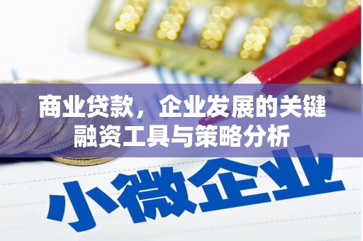 双清商业贷款，企业发展的关键融资工具与策略分析