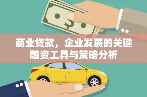 双清商业贷款，企业发展的关键融资工具与策略分析
