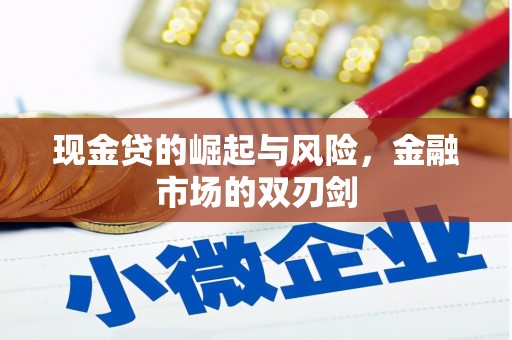双清现金贷的崛起与风险，金融市场的双刃剑