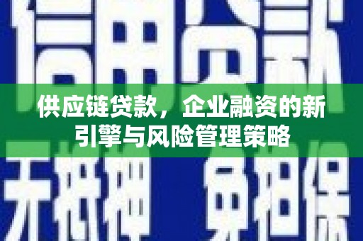 双清供应链贷款，企业融资的新引擎与风险管理策略
