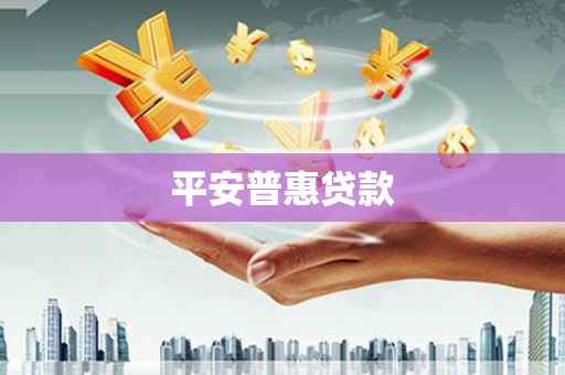 双清平安普惠贷款