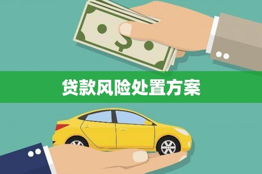 双清贷款风险处置方案