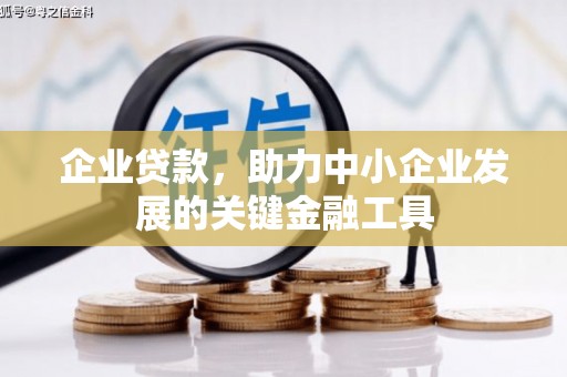 双清企业贷款，助力中小企业发展的关键金融工具
