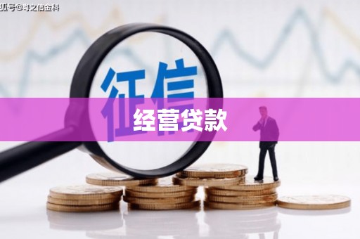 双清经营贷款