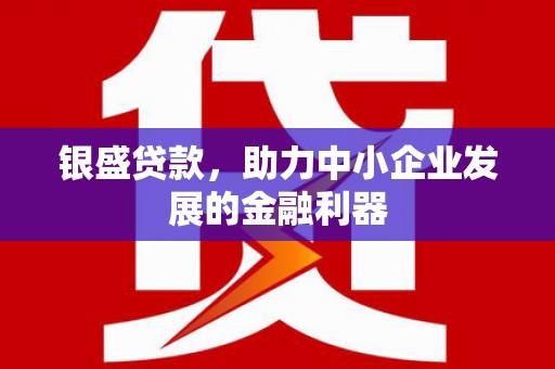 双清银盛贷款，助力中小企业发展的金融利器