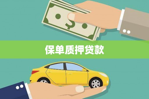 双清保单质押贷款
