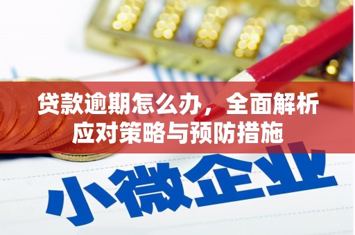 双清贷款逾期怎么办，全面解析应对策略与预防措施