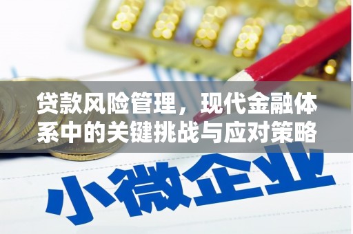 双清贷款风险管理，现代金融体系中的关键挑战与应对策略