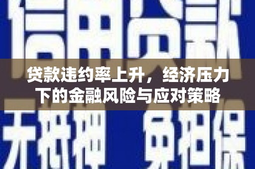 双清贷款违约率上升，经济压力下的金融风险与应对策略