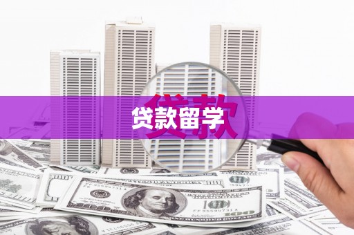 双清贷款留学