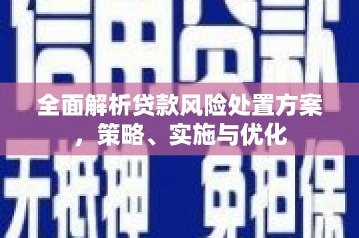 双清全面解析贷款风险处置方案，策略、实施与优化