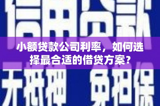 双清小额贷款公司利率，如何选择最合适的借贷方案？