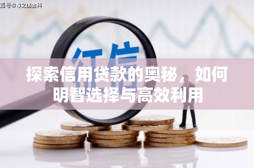 双清探索信用贷款的奥秘，如何明智选择与高效利用