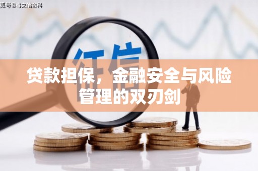 双清贷款担保，金融安全与风险管理的双刃剑