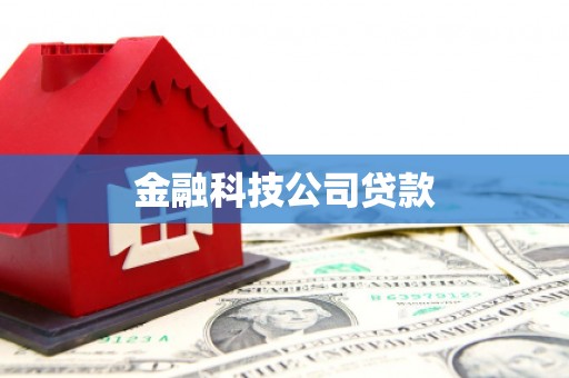双清金融科技公司贷款