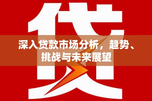 双清深入贷款市场分析，趋势、挑战与未来展望