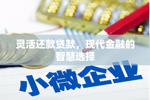 双清灵活还款贷款，现代金融的智慧选择