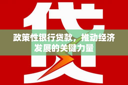双清政策性银行贷款，推动经济发展的关键力量