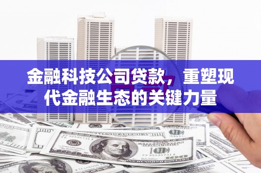 双清金融科技公司贷款，重塑现代金融生态的关键力量