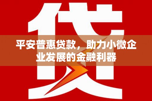 双清平安普惠贷款，助力小微企业发展的金融利器
