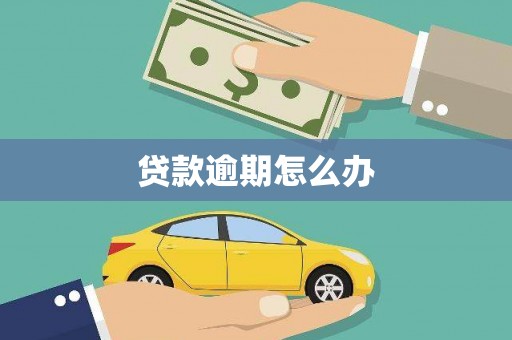 双清贷款逾期怎么办