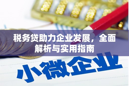 双清税务贷助力企业发展，全面解析与实用指南