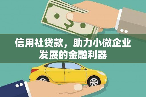 双清信用社贷款，助力小微企业发展的金融利器