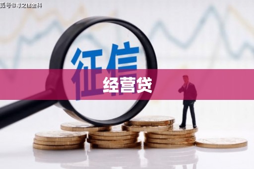 双清经营贷