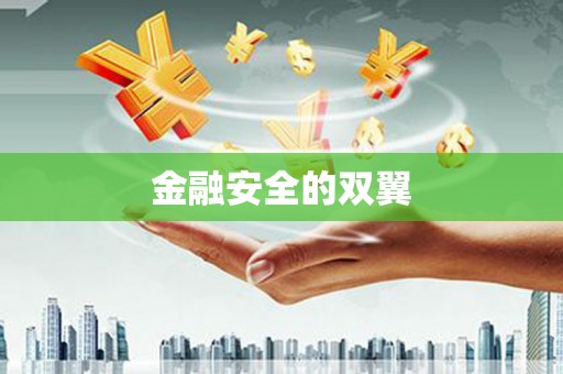双清金融安全的双翼