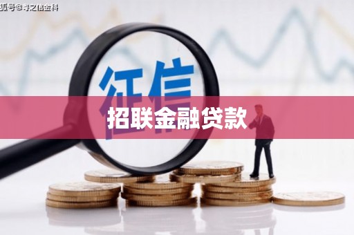 双清招联金融贷款