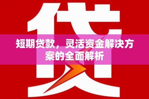 双清短期贷款，灵活资金解决方案的全面解析