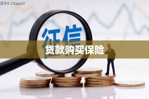 双清贷款购买保险