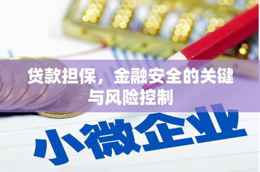 双清贷款担保，金融安全的关键与风险控制