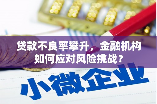 双清贷款不良率攀升，金融机构如何应对风险挑战？