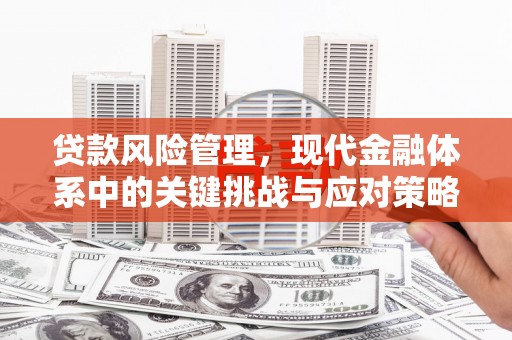 双清贷款风险管理，现代金融体系中的关键挑战与应对策略