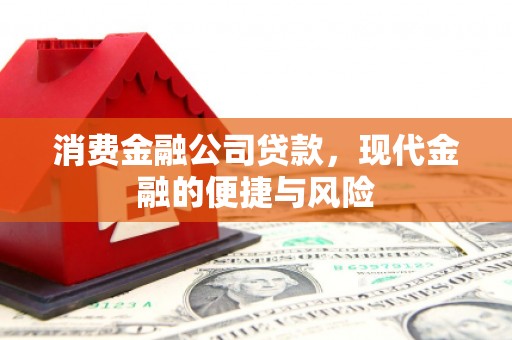 双清消费金融公司贷款，现代金融的便捷与风险